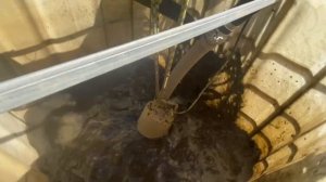 Демонстрация работы насоса ZUMFA Small D8 в грязной воде на строительном участке
