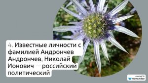 Изучаем происхождение, историю и значение фамилии Андрончев: правильное склонение и интересные факты