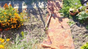 Последние осенние огородные дела...