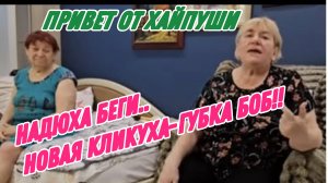 САМВЕЛ АДАМЯН, НАДЮХА БЕГИ, СТАЯ ЧАТЛАШЕК НАБРОСИЛАСЬ НА БЕДНУЮ НЕДОГАРКУ, НОВАЯ КЛИКУХА-ГУБКА БОБ..