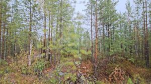 9939624 Транспортый строитель