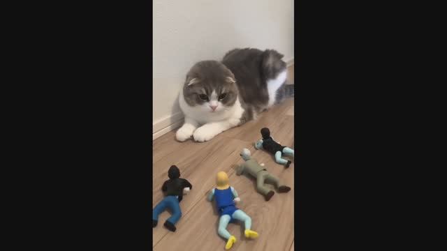 Смешные Котейки 1