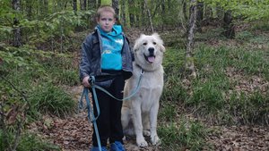 На вершину горы с алабаем