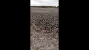 Ставок в Енакиево тоже всё....