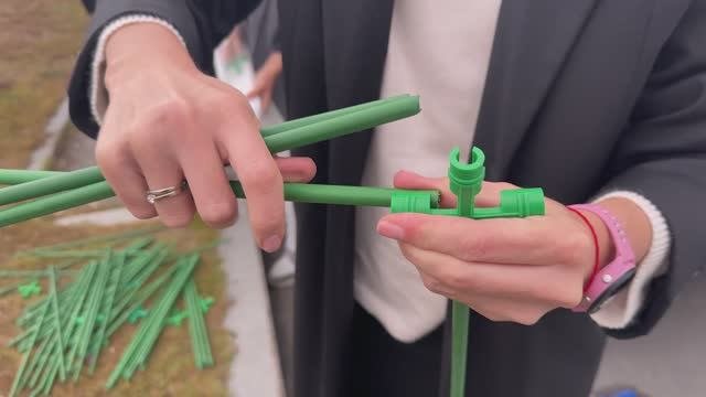 На 40 сосен больше: газовики высадили деревья вдоль центральной улицы Сургута