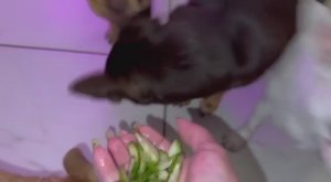 Все немного похрустели.