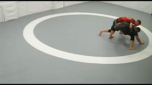 Клуб борьбы а54 тренировки по грэпплингу в новосибирске