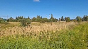 д. Шохово 50:18:0030125:1307