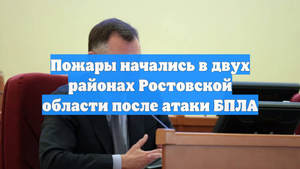 Пожары начались в двух районах Ростовской области после атаки БПЛА