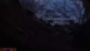 Опасное взятие в плен ВСУшника (вид от первого лица)