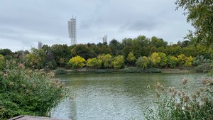 Погулять на Озерки 30 сентября