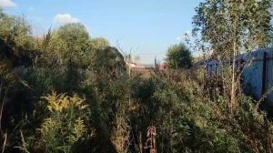 д. Клементьево 50:18:0080127:572