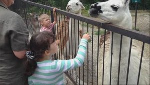 ЯЛТИНСКИЙ ЗООПАРК