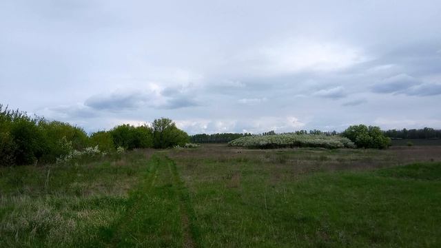 Окрестности исчезнувшего посёлка Красный, Самойловский район.