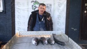 улов форели на малом водоёме