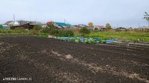 30-09-2025Первые заморозки.Мои покупки .