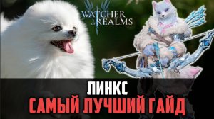 ЛИНКС МОРОЗИТ КРУЧЕ ВСЕХ! Но, есть нюанс :) #watcherofrealms #Kaneevent