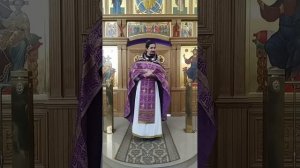 Послание к Ефесянам. О единстве Церкви и народе Божием. Проповедь о. Вячеслава. 30.9.25