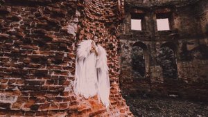 Анна Богуш | ТОЧКА.РФ – МЕСТО | г. Смоленск