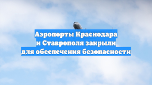 Аэропорты Краснодара и Ставрополя закрыли для обеспечения безопасности