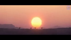 ЗВЕЗДНЫЕ ВОЙНЫ: ВИДЕНИЕ / STAR WARS: VISION Трейлер