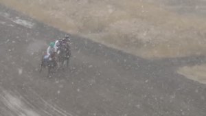 Скаковой день 27 сентября. Дистанция 10 000 м. Айхал