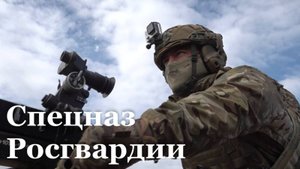 Сегодня в России отметили День спецназа Росгвардии
