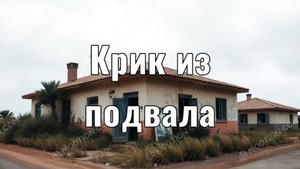 Последний крик в подвале
