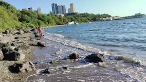 Сергей Милейко - Видно не судьба...