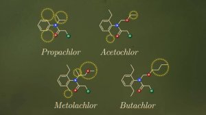 Фермеры не могут сеять свои семена