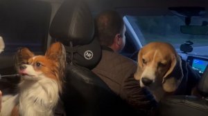 Перекусили с другом