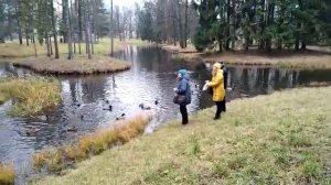 Мои мама и папа#навсегда в наших сердцах и памяти.mp4