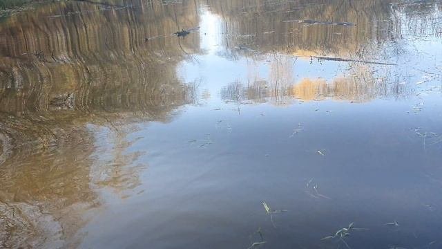 Просто покатушки