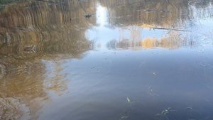 Просто покатушки