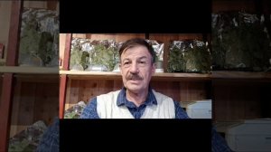 Новый выставочно фестивальный центр Юга России в Краснодаре