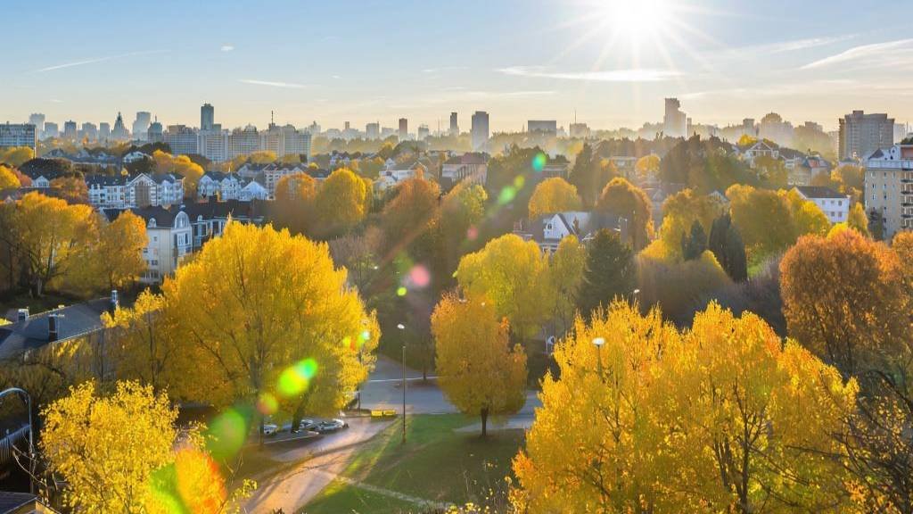 Осеннее утро в городе, 2025. #осень #утро #2025 #солнце #тишина #синеенебо #утроначинаетсянескофе