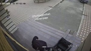 В Махачкале. в районе Троллейбусного кольца, горный инородец приставал к школьнице !!!