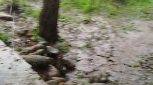 Третья часть видео о деревне.30.09.2025г.