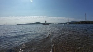 Токаревская кошка - МАЯК, Владивосток, август 2025.