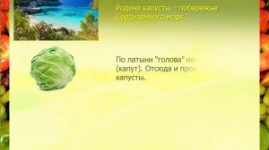 Фольклорный час