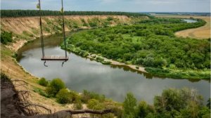 Кривоборье осень 2025. #Котолевские