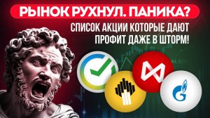 Рынок рухнул. Паника? Или лучший шанс за 2 года? Где искать акции-невидимки, которые дают профит