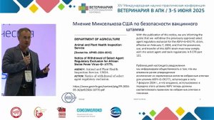 Колбасов Д. В. Первый год использования коммерческих вакцин против АЧС.