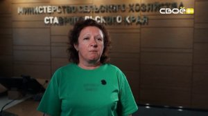 Сценарий цен. Капуста