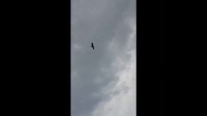 1000006724.mp4 Любительский клип на песню Кадышевой
