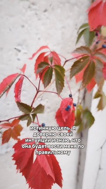 ПРЕДНАЗНАЧЕНИЕ