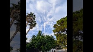 760.Прогулки вечерние, думы вечерние.