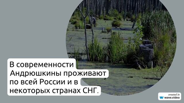 Фамилия Андрюшкина: история происхождения, значение и правильное склонение - полный гид.