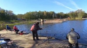 video_2025-10-01_14-37-49