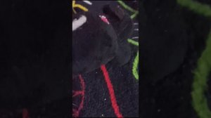 семья драконов часть 2